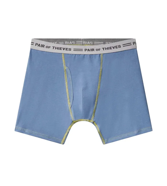 4 Way Stetch Every Day Kit Cotton Stretch Boxer Briefs Dusty Lavender Underwear 4 Pack Men Pair Of Thieves Boxer Briefs