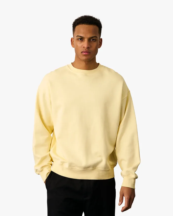 Men Crewneck Sweatshirts Colorfulstandard Organic Oversized Crew 8211 Purple Jade