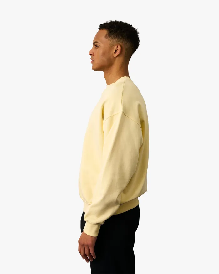 Men Crewneck Sweatshirts Colorfulstandard Organic Oversized Crew 8211 Purple Jade