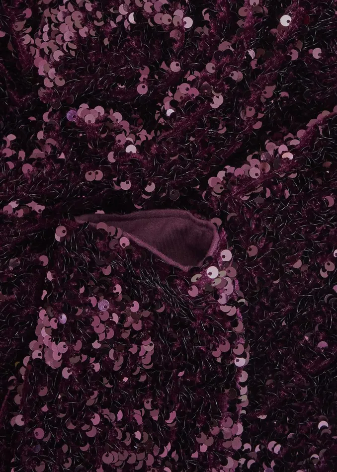 Women Dresses and Jumpsuits Hobbs Sawyer Sequin Dress Warm Plum