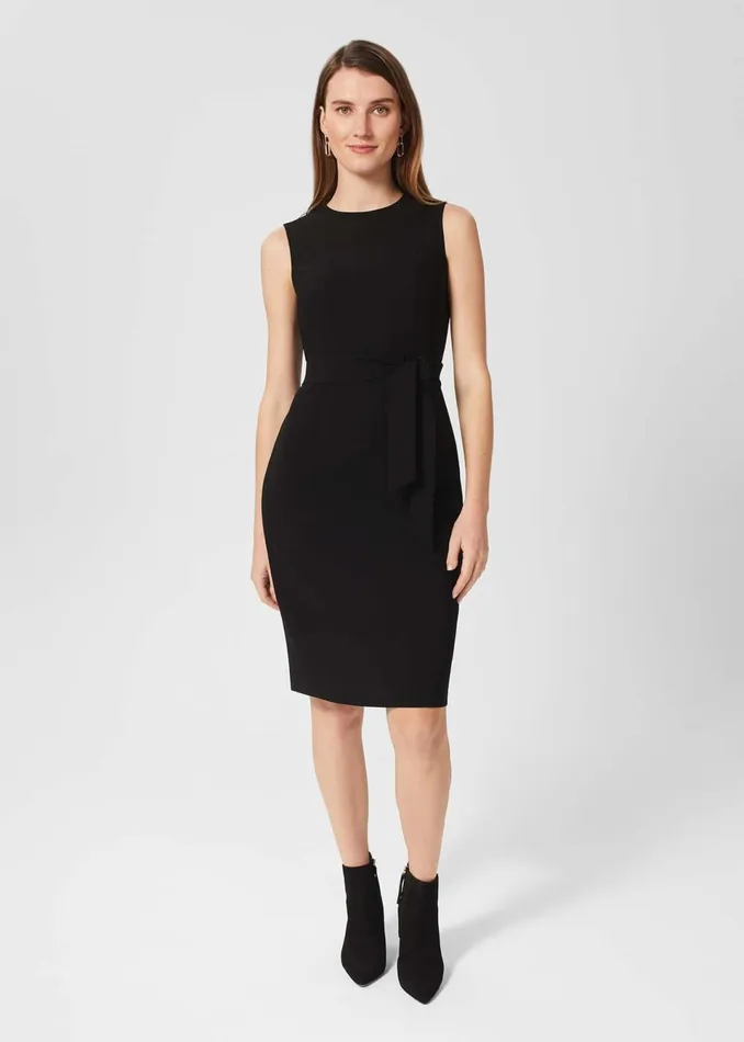 Women Suits and CoOrds Hobbs Petite Mel Dress Black
